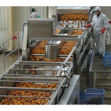Indostrian&#39;ny Citrus Peeler Minile Citrus Citrus Corsting Line
